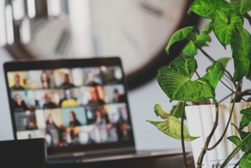 A laptop showing a video call next to a houseplant